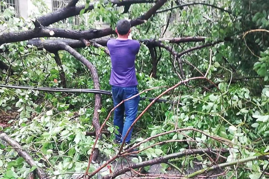 狂風暴雨中的堅守