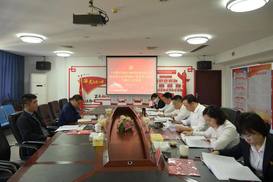 公司召開黨史學(xué)習(xí)教育專題民主生活會(huì)